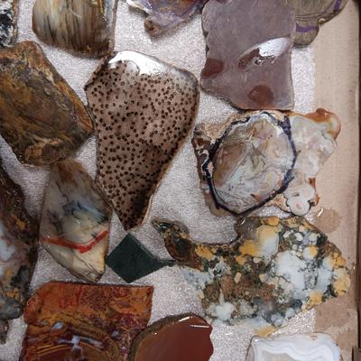 LAPIDARY SLABS (9)