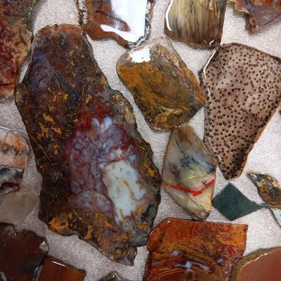 LAPIDARY SLABS (9)