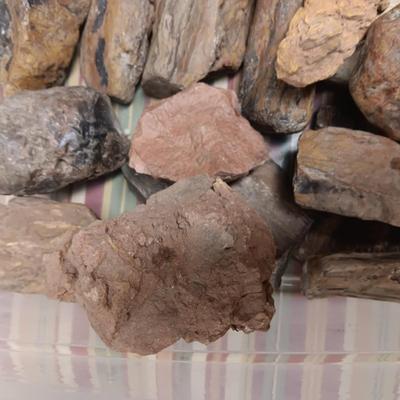 MOSTLY PETRIFIED WOOD