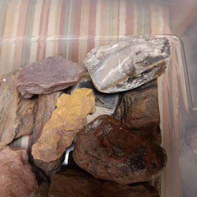 MOSTLY PETRIFIED WOOD