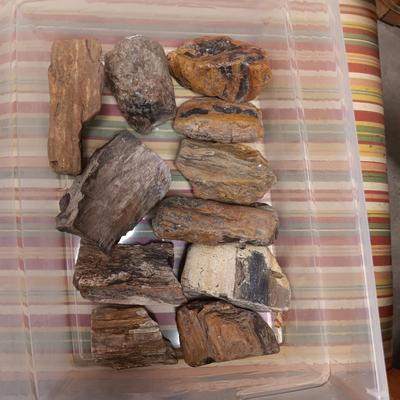 MOSTLY PETRIFIED WOOD