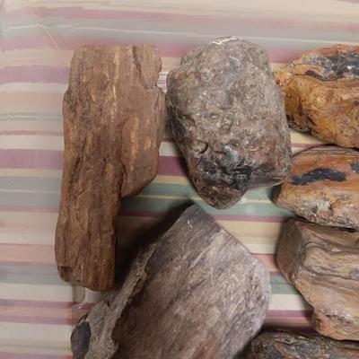 MOSTLY PETRIFIED WOOD