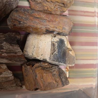MOSTLY PETRIFIED WOOD