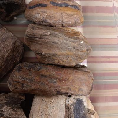 MOSTLY PETRIFIED WOOD