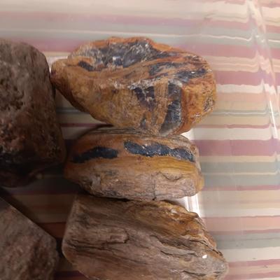 MOSTLY PETRIFIED WOOD