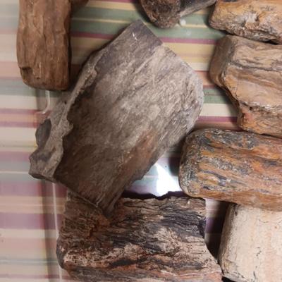 MOSTLY PETRIFIED WOOD