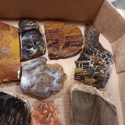 LAPIDARY SLABS (10)