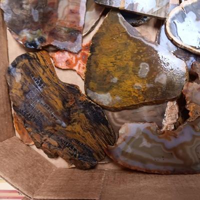 LAPIDARY SLABS (10)