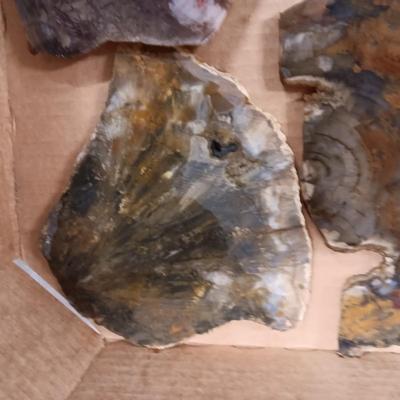 LAPIDARY SLABS (10)