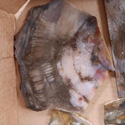LAPIDARY SLABS (10)