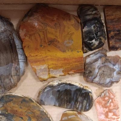 LAPIDARY SLABS (10)