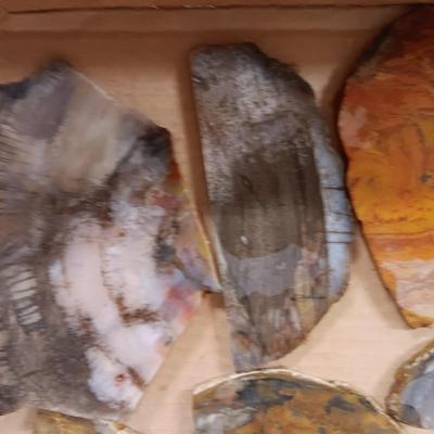 LAPIDARY SLABS (10)