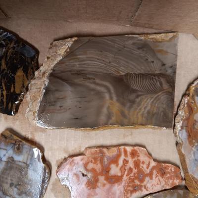 LAPIDARY SLABS (10)