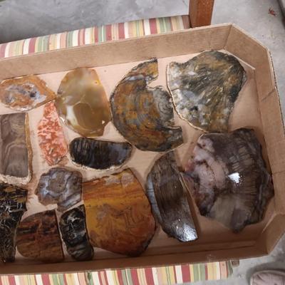 LAPIDARY SLABS (10)