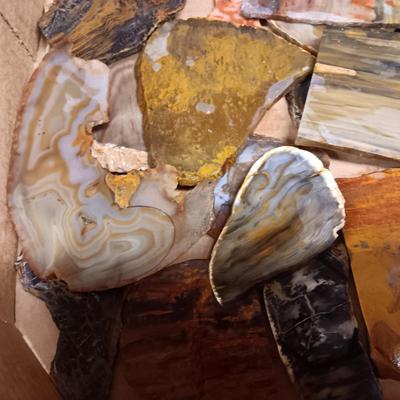 LAPIDARY SLABS (10)