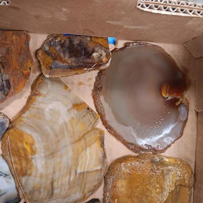 LAPIDARY SLABS (11)