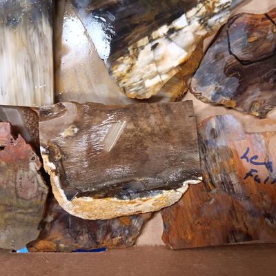 LAPIDARY SLABS (11)