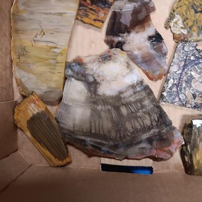LAPIDARY SLABS (11)