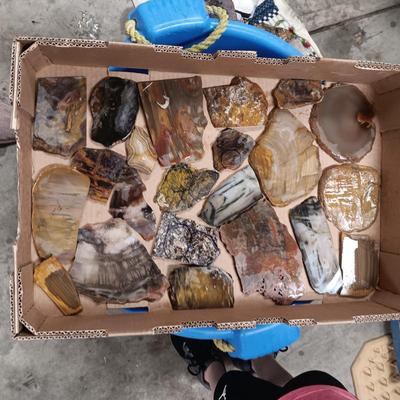 LAPIDARY SLABS (11)
