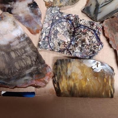 LAPIDARY SLABS (11)