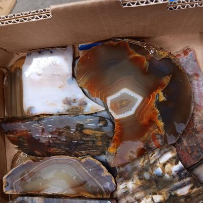 LAPIDARY SLABS (11)