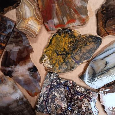 LAPIDARY SLABS (11)