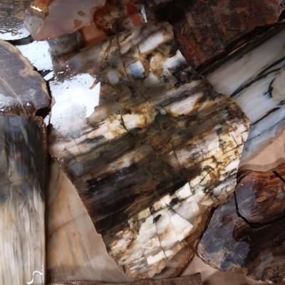 LAPIDARY SLABS (11)