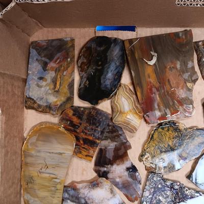 LAPIDARY SLABS (11)