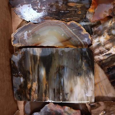 LAPIDARY SLABS (11)