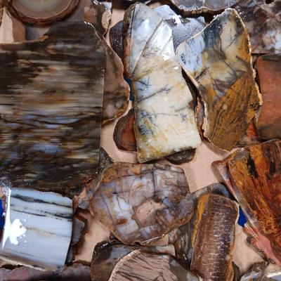 LAPIDARY SLABS (12)