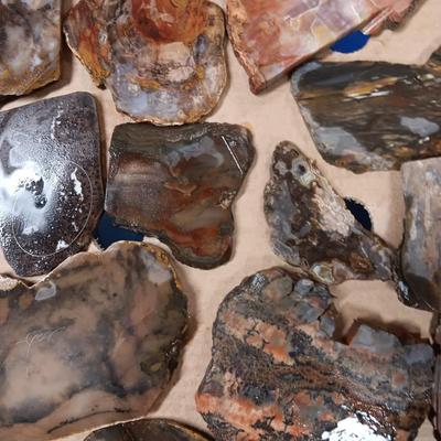 LAPIDARY SLABS (12)