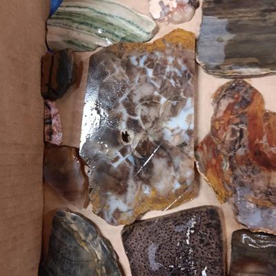 LAPIDARY SLABS (12)