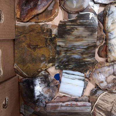 LAPIDARY SLABS (12)