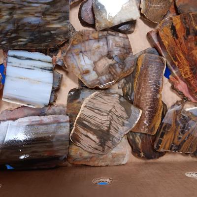 LAPIDARY SLABS (12)