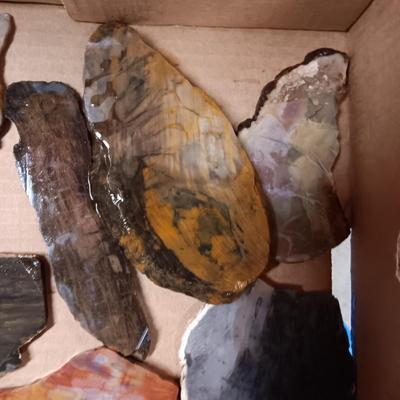 LAPIDARY SLABS (12)