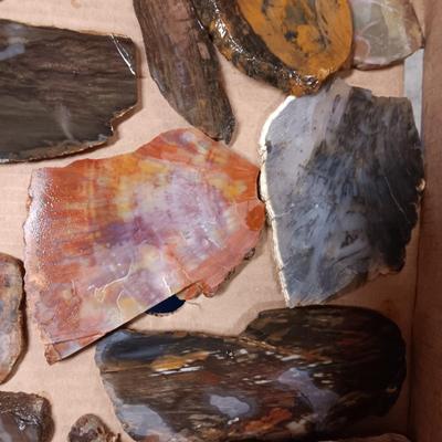 LAPIDARY SLABS (12)