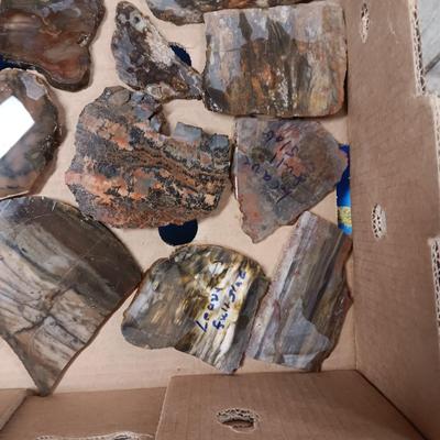 LAPIDARY SLABS (12)
