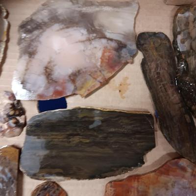 LAPIDARY SLABS (12)
