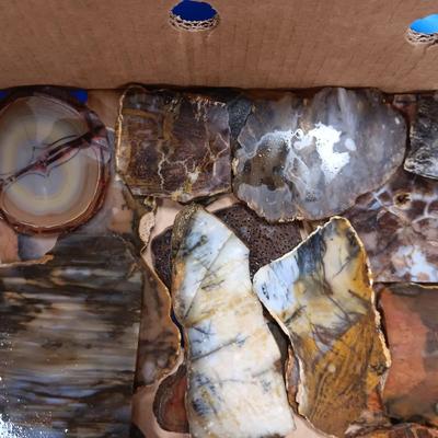 LAPIDARY SLABS (12)