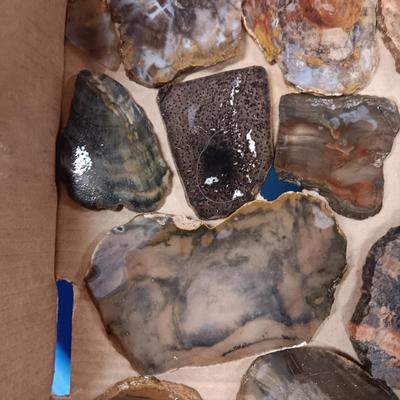 LAPIDARY SLABS (12)