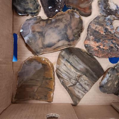 LAPIDARY SLABS (12)