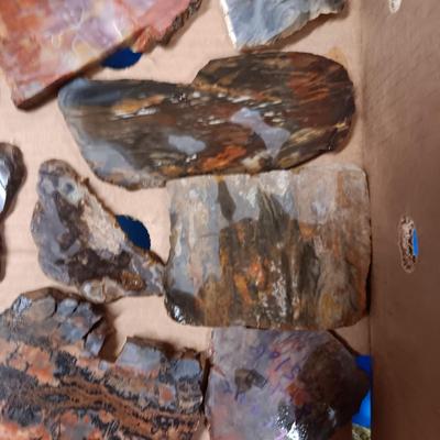 LAPIDARY SLABS (12)