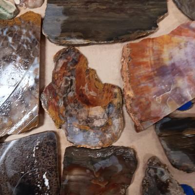 LAPIDARY SLABS (12)