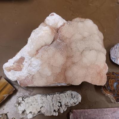UNIQUE ROCKS & FOSSIL