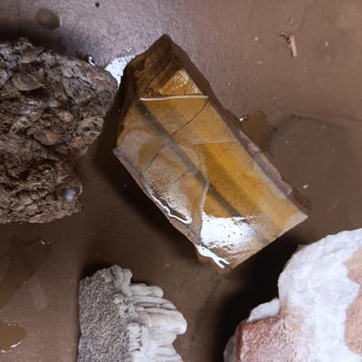 UNIQUE ROCKS & FOSSIL