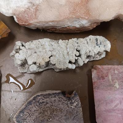 UNIQUE ROCKS & FOSSIL
