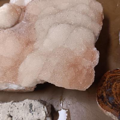 UNIQUE ROCKS & FOSSIL