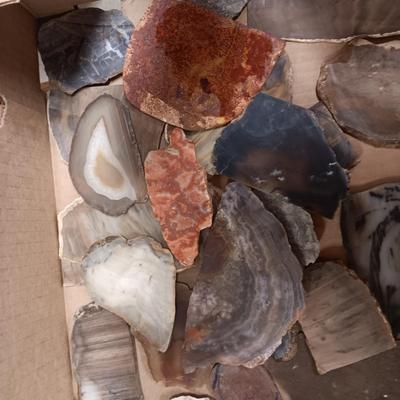 LAPIDARY SLABS (2)