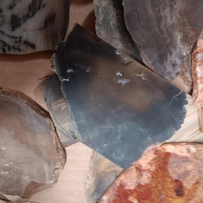 LAPIDARY SLABS (2)