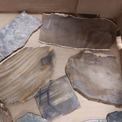 LAPIDARY SLABS (2)